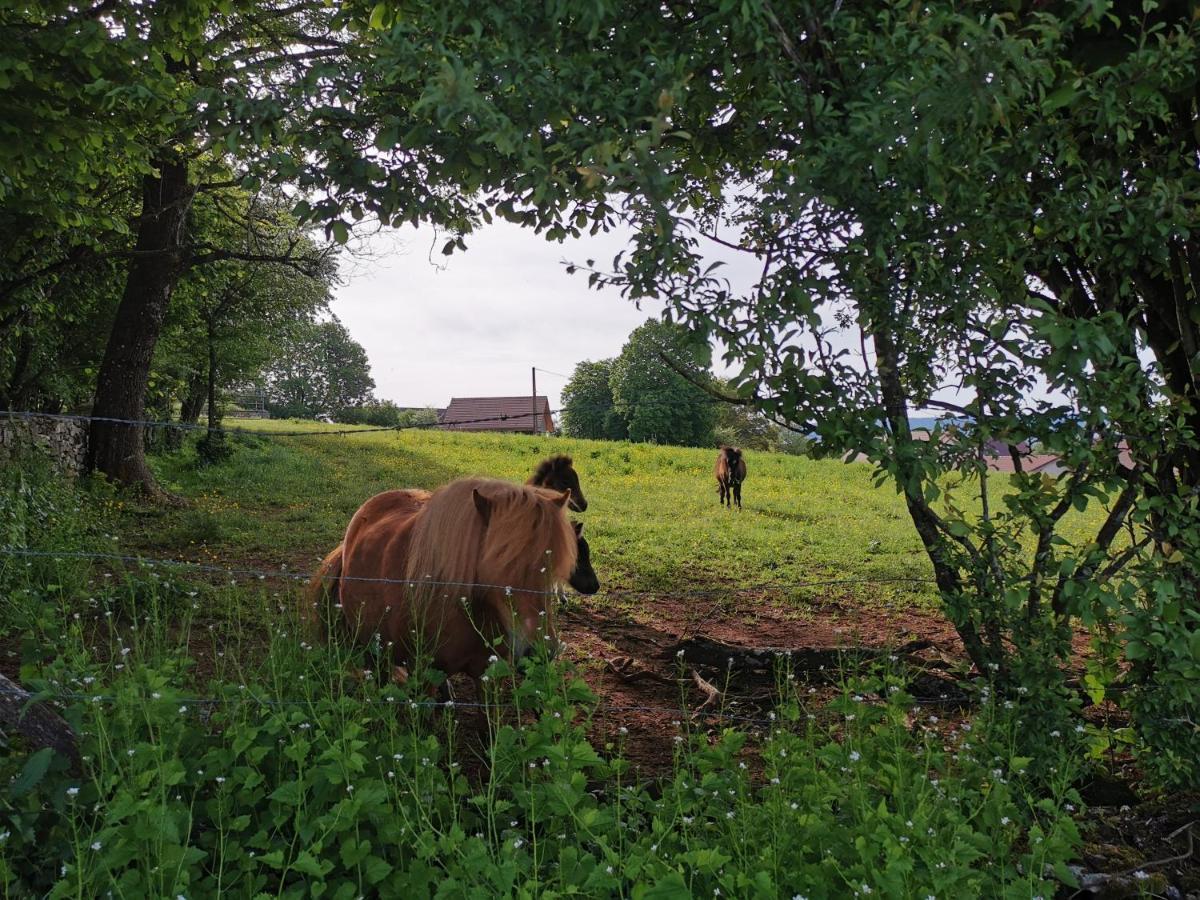 Gite Du Colombier Le Fied Zewnętrze zdjęcie