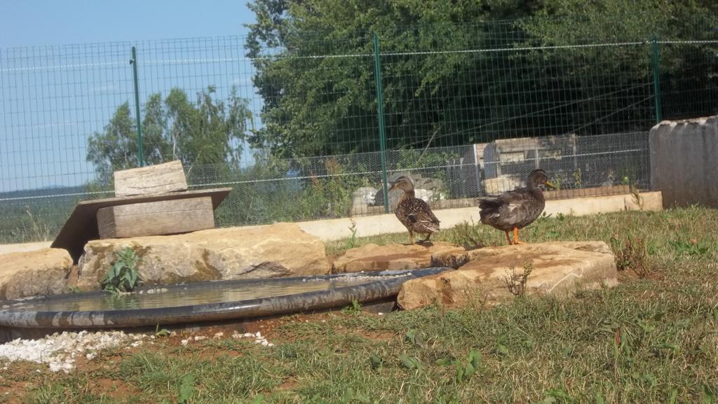 Gite Du Colombier Le Fied Zewnętrze zdjęcie