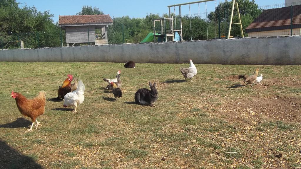 Gite Du Colombier Le Fied Zewnętrze zdjęcie