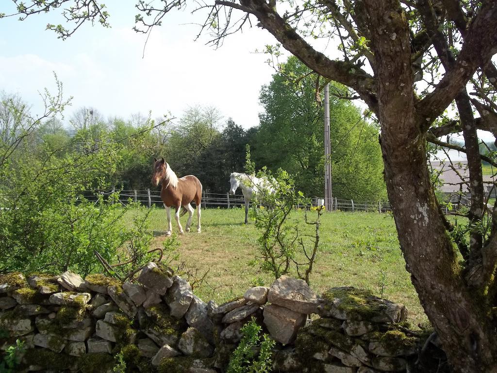 Gite Du Colombier Le Fied Zewnętrze zdjęcie