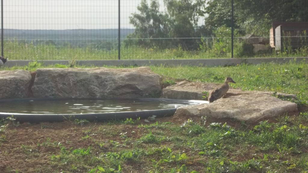 Gite Du Colombier Le Fied Zewnętrze zdjęcie